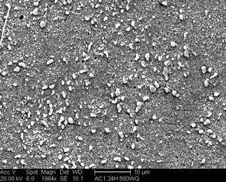 /static/micrographs/micrograph382.png