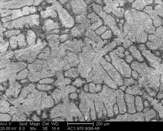 /static/micrographs/micrograph383.png