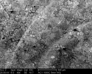 /static/micrographs/micrograph384.png
