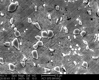 /static/micrographs/micrograph386.png