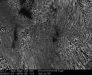 /static/micrographs/micrograph387.png