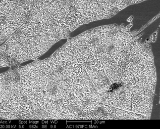 /static/micrographs/micrograph39.png