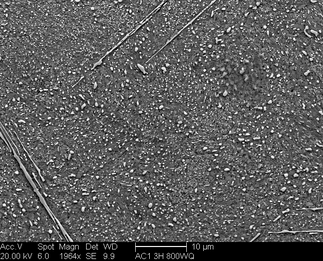 /static/micrographs/micrograph391.png