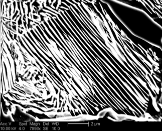 /static/micrographs/micrograph392.png
