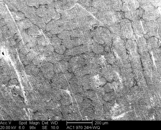 /static/micrographs/micrograph396.png