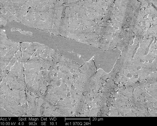 /static/micrographs/micrograph398.png