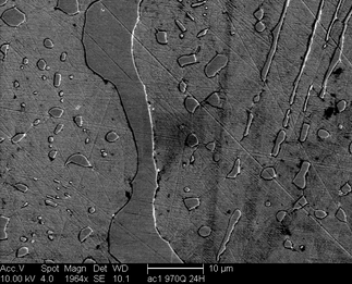 /static/micrographs/micrograph402.png