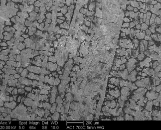 /static/micrographs/micrograph403.png
