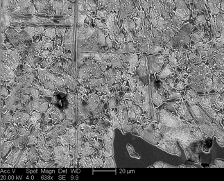 /static/micrographs/micrograph404.png