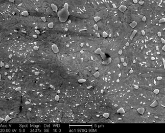 /static/micrographs/micrograph406.png