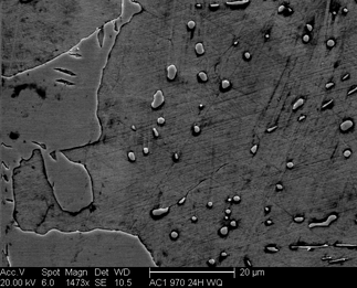/static/micrographs/micrograph408.png