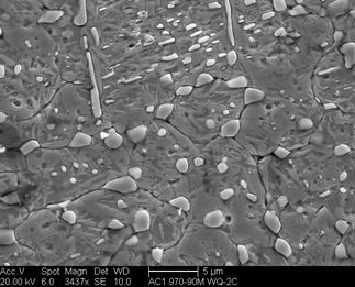 /static/micrographs/micrograph411.png
