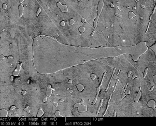 /static/micrographs/micrograph418.png