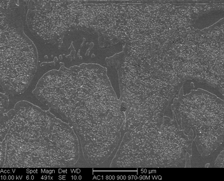 /static/micrographs/micrograph419.png