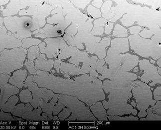 /static/micrographs/micrograph42.png
