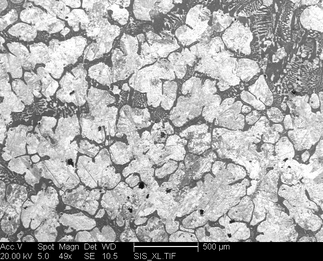 /static/micrographs/micrograph421.png