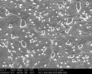 /static/micrographs/micrograph422.png
