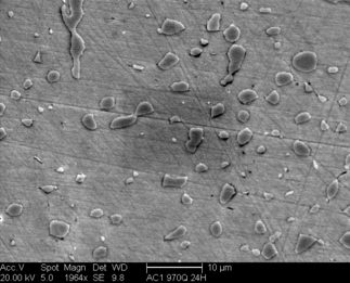 /static/micrographs/micrograph427.png