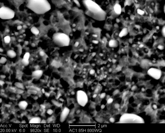 /static/micrographs/micrograph430.png