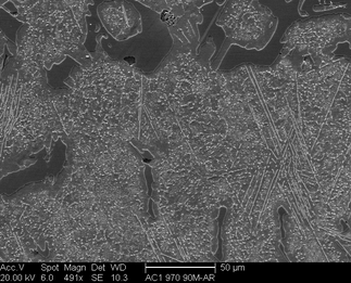 /static/micrographs/micrograph433.png