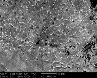 /static/micrographs/micrograph435.png