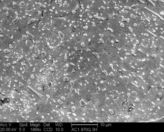 /static/micrographs/micrograph436.png