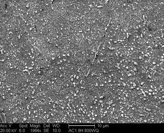/static/micrographs/micrograph437.png