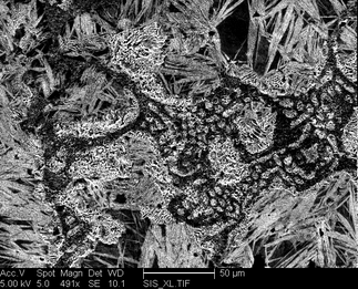 /static/micrographs/micrograph44.png