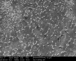 /static/micrographs/micrograph440.png