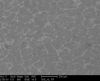 /static/micrographs/micrograph441.png