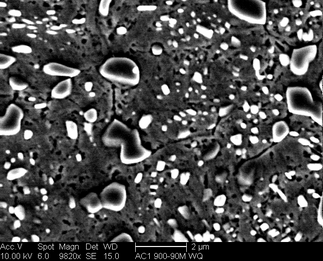/static/micrographs/micrograph442.png