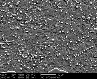 /static/micrographs/micrograph443.png