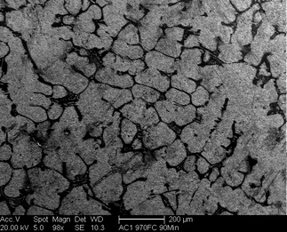 /static/micrographs/micrograph447.png