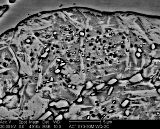 /static/micrographs/micrograph449.png
