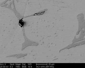 /static/micrographs/micrograph451.png