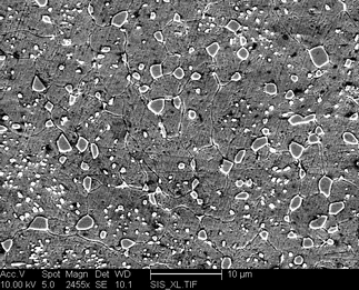 /static/micrographs/micrograph452.png