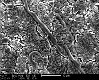 /static/micrographs/micrograph453.png
