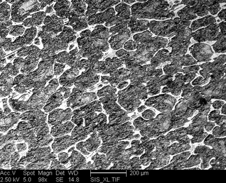 /static/micrographs/micrograph454.png