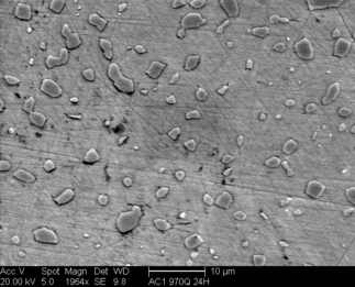 /static/micrographs/micrograph457.png