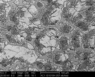 /static/micrographs/micrograph459.png