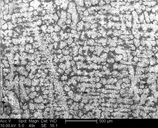 /static/micrographs/micrograph46.png