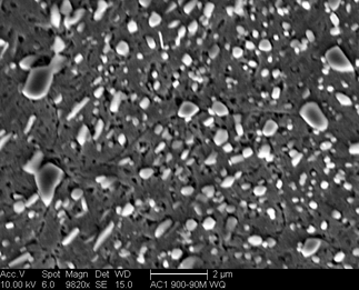 /static/micrographs/micrograph463.png