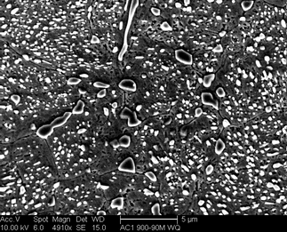 /static/micrographs/micrograph464.png