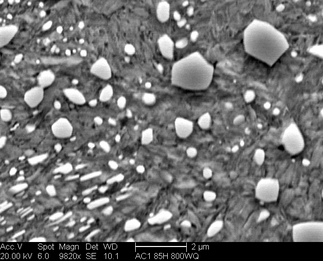 /static/micrographs/micrograph465.png