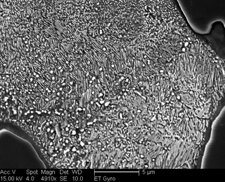 /static/micrographs/micrograph466.png