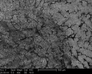 /static/micrographs/micrograph47.png