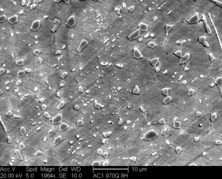 /static/micrographs/micrograph474.png