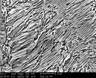/static/micrographs/micrograph479.png