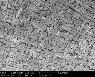 /static/micrographs/micrograph480.png