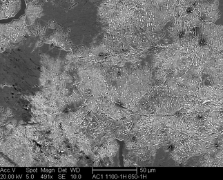 /static/micrographs/micrograph483.png